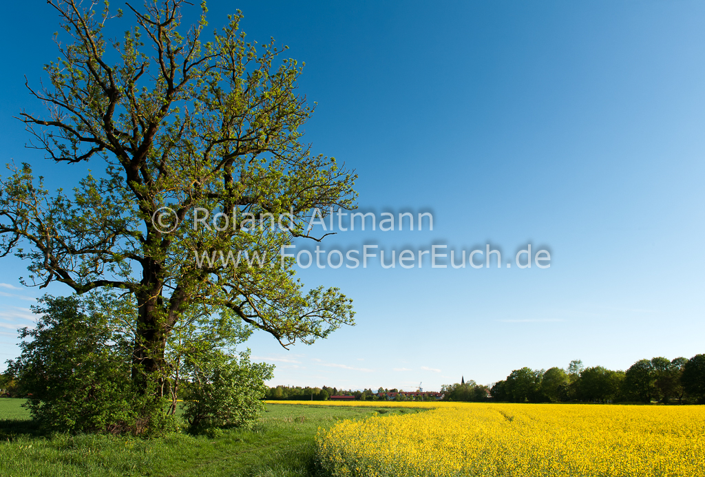 Preview 20150506_Roland_Altmann_7007811.jpg